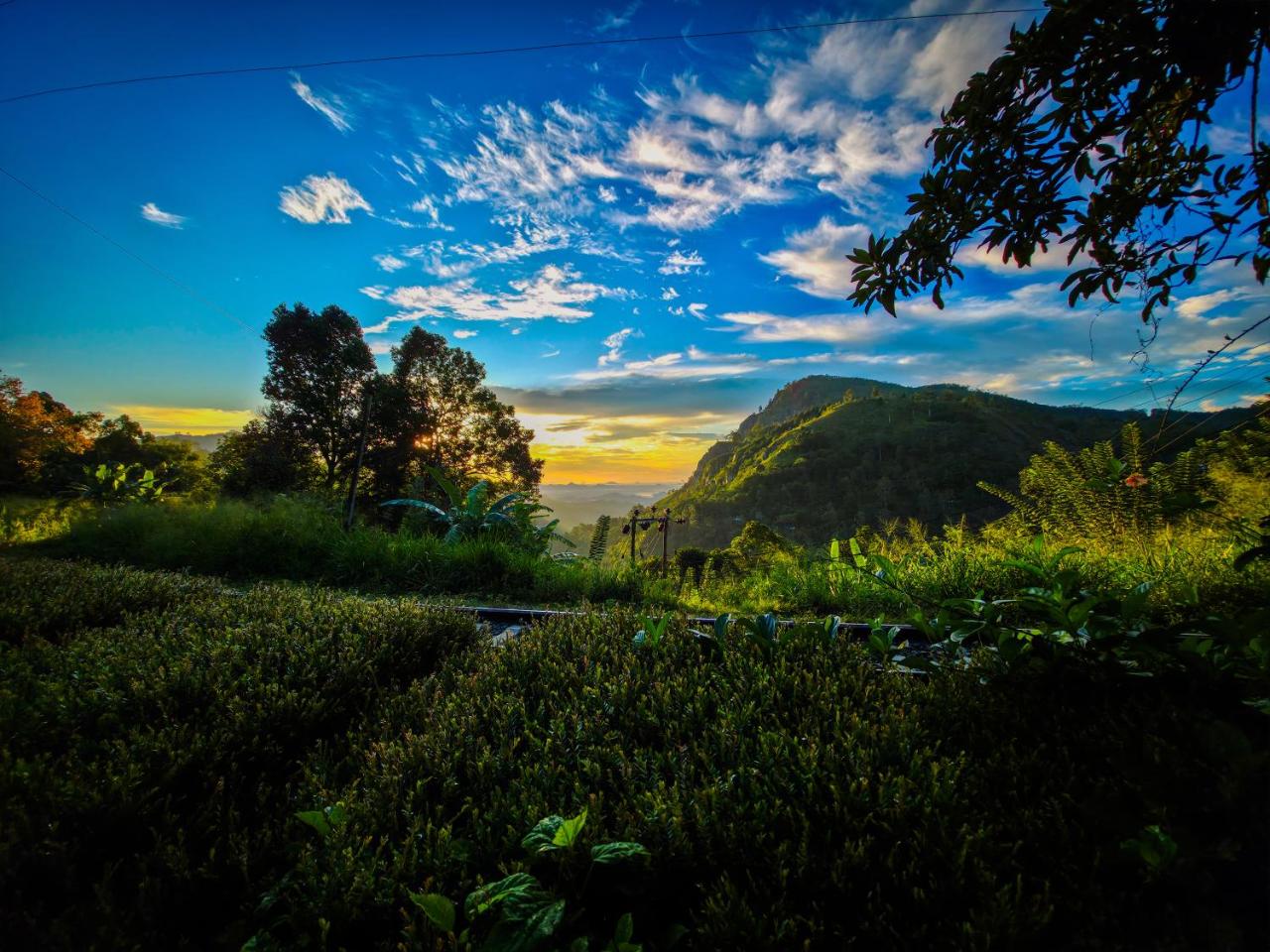 Ella Happy View Homestay