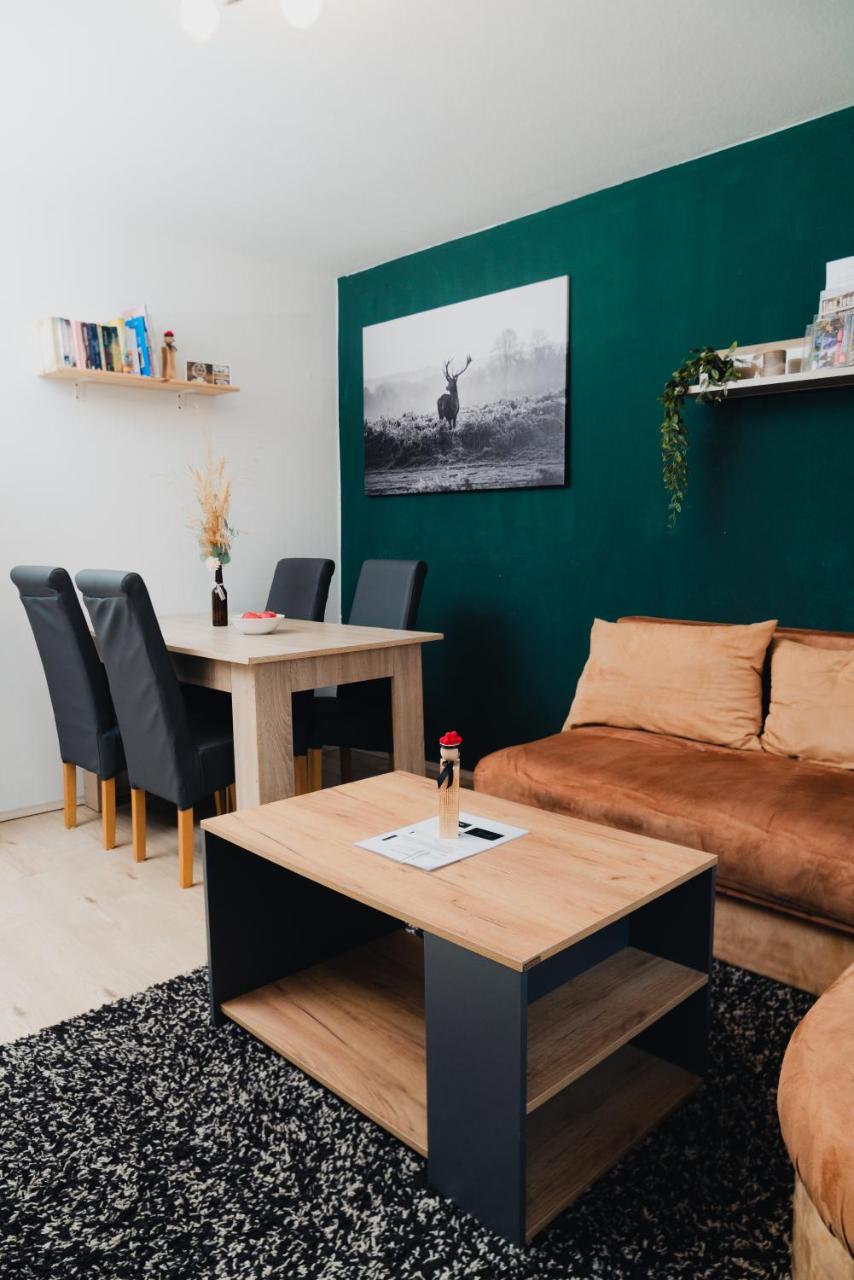 Voll ausgestattete 3 Zimmer Wohnung mit 2 Schlafzimmer - 2