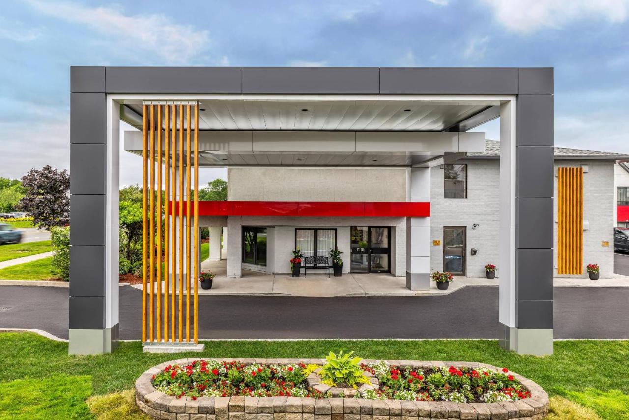 Foto - Comfort Inn