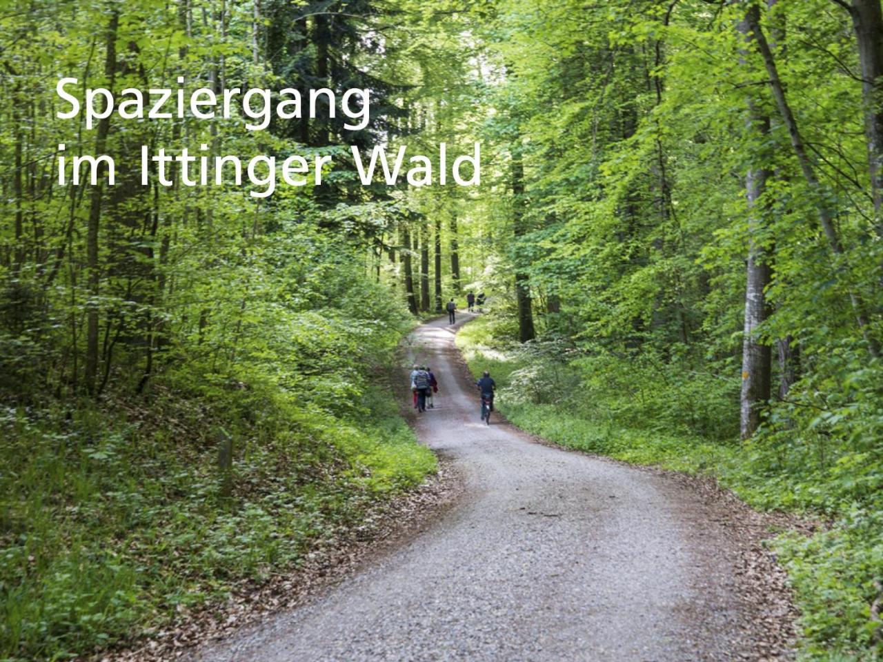 Kartause Ittingen photo 4