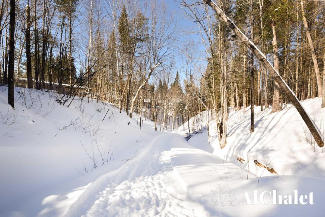 Forêt Blanche - Sauna et Spa photo 3