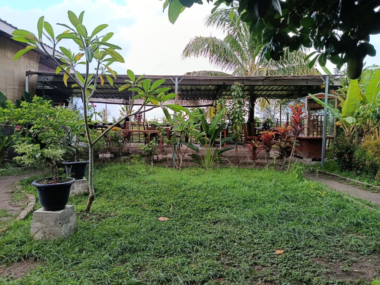 The Daun Puntik HomeStay photo 3