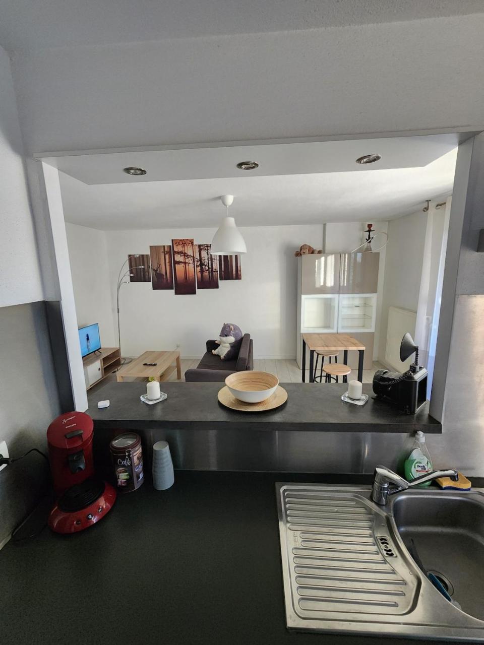 Appartement rez-de-jardin avec terrasse privative - 3