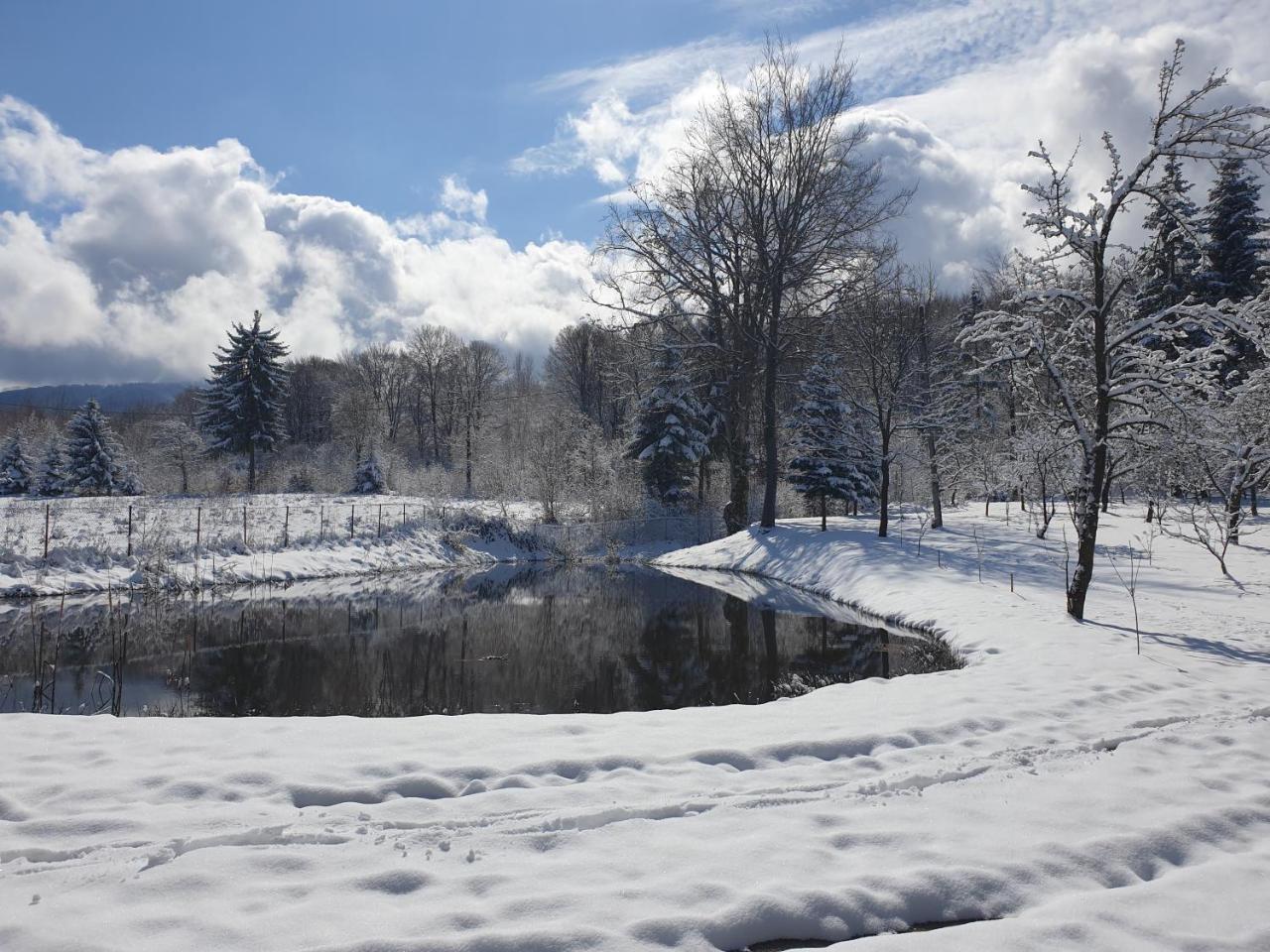 Two lakes heaven - Forest Retreat by The Mountains - 2