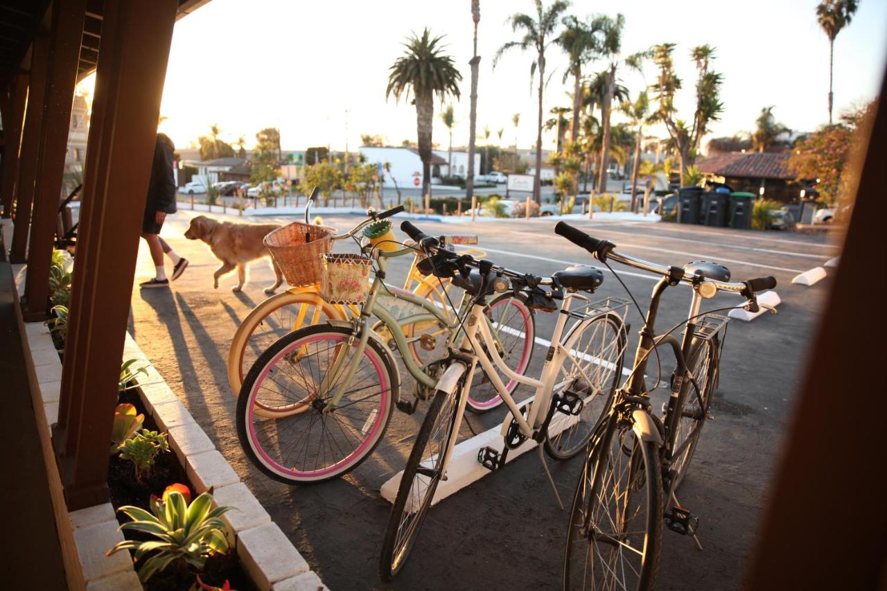 West Coast Surf and Stay photo 4