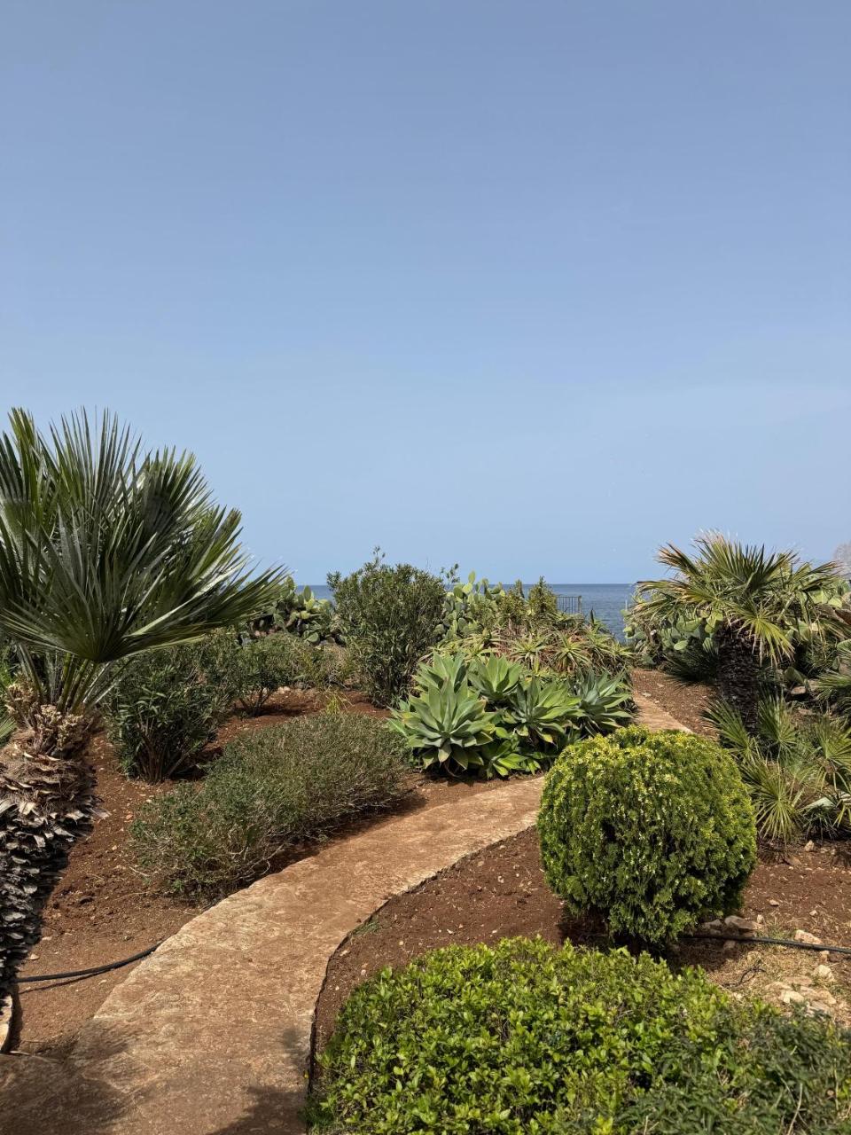 CasAmare - 5
