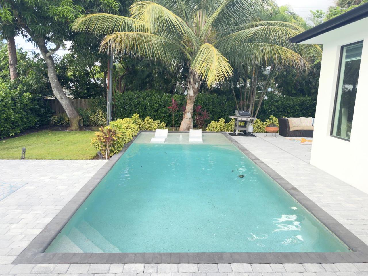 Tropical Oasis - 2