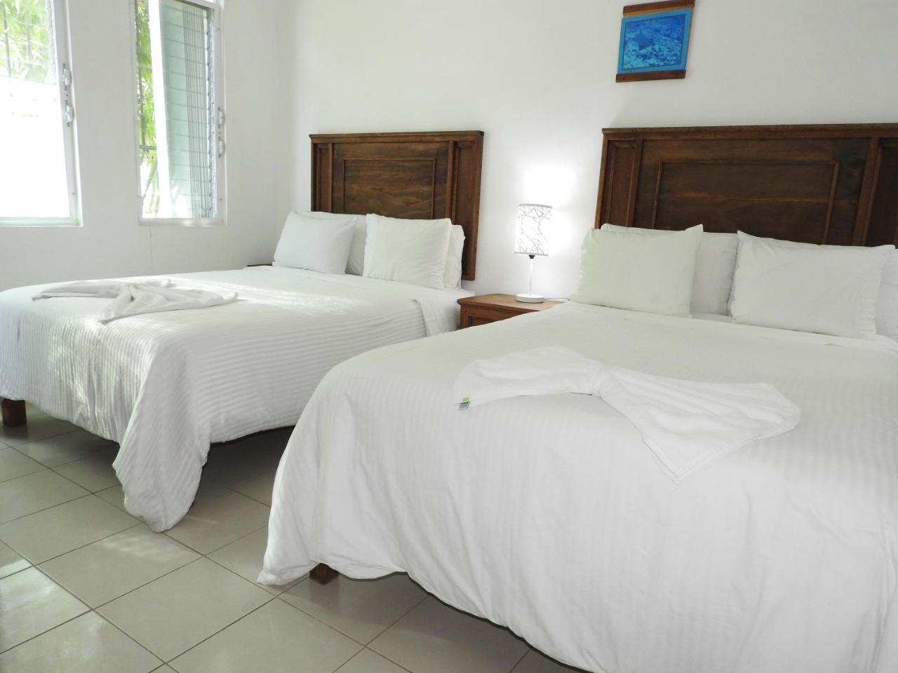 Apart Hotel Casaejido photo 4