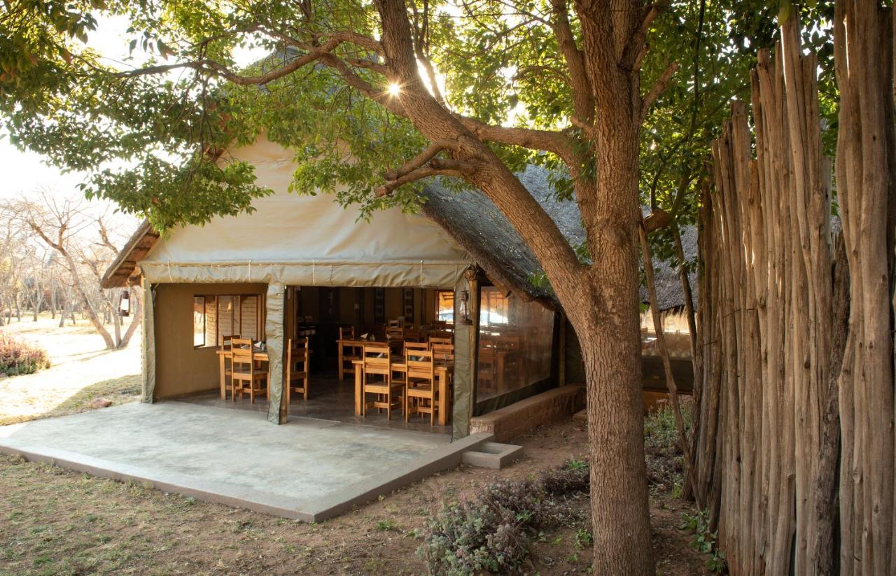 Wildside Safari Camp photo 3