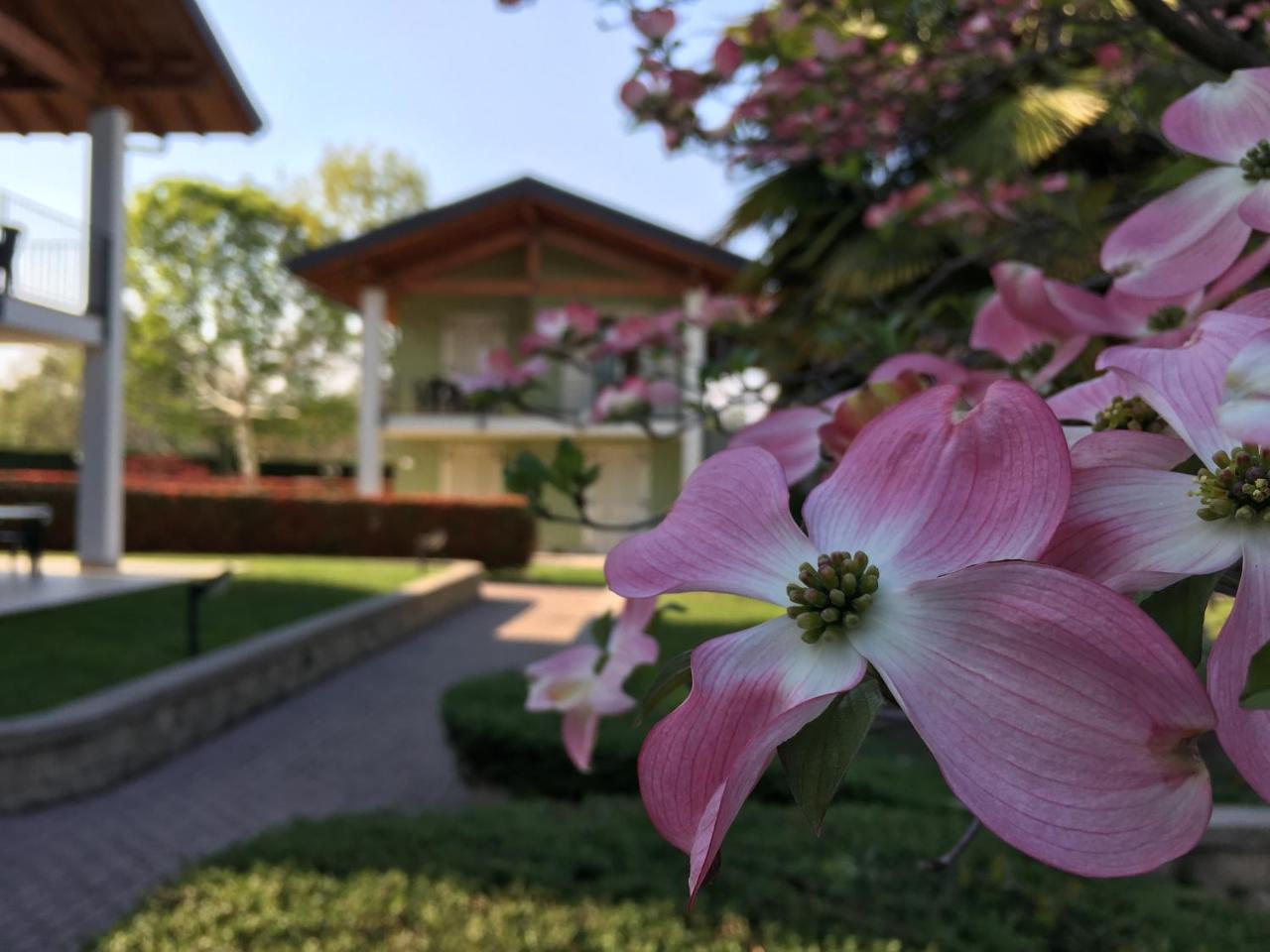 Residence Alice - 3