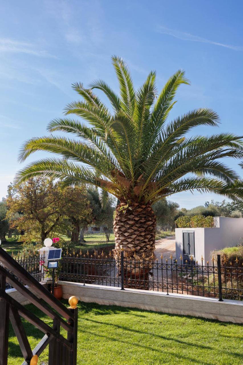 Villa Palmera 100m from the beach - 3