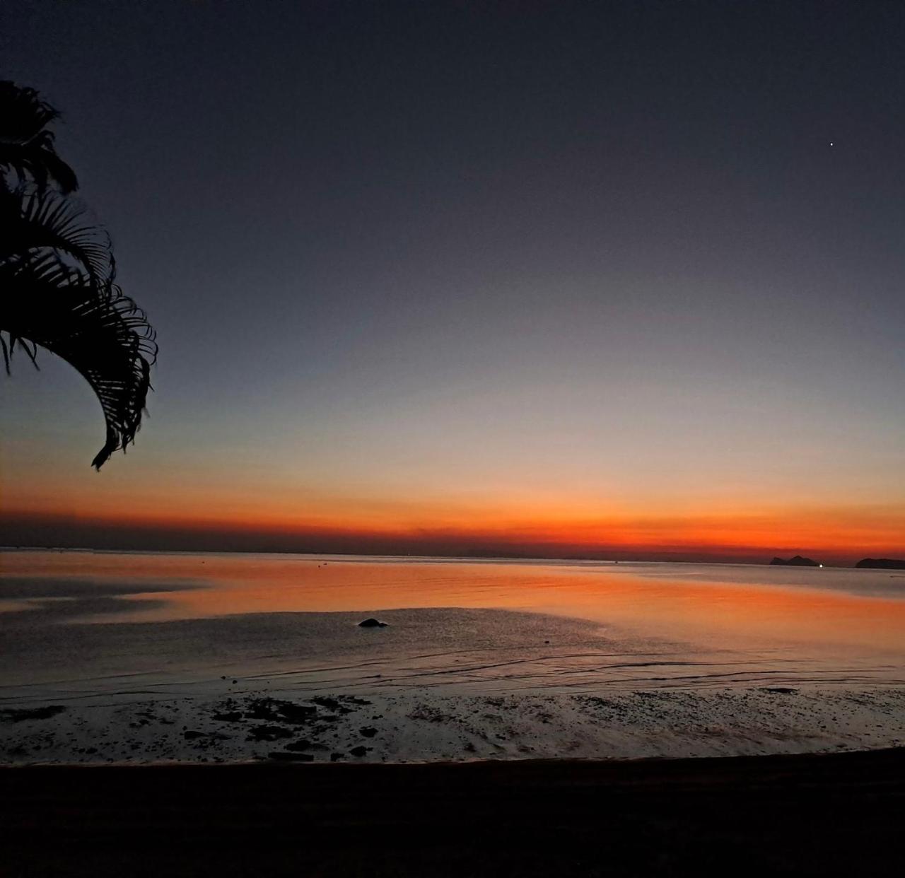 Phangan Orchid Resort photo 4