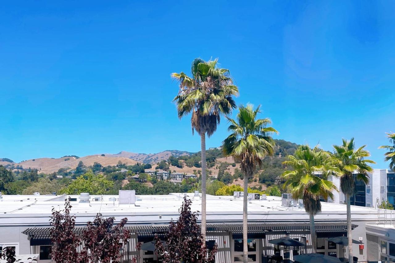 Marin Hilltop Hotel photo 3