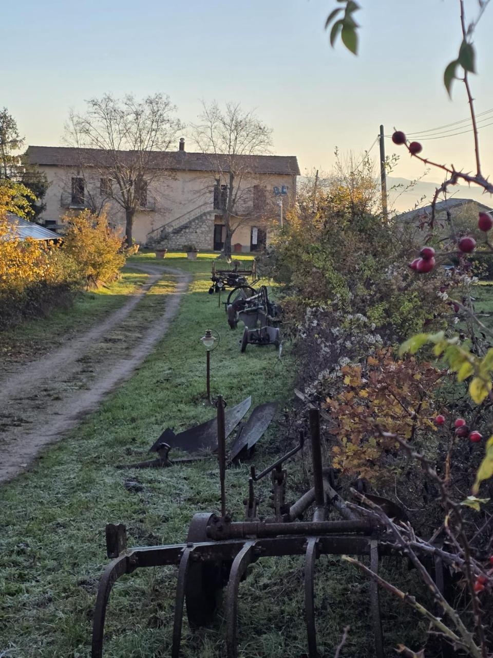 Agriturismo Collina degli Ulivi - 5