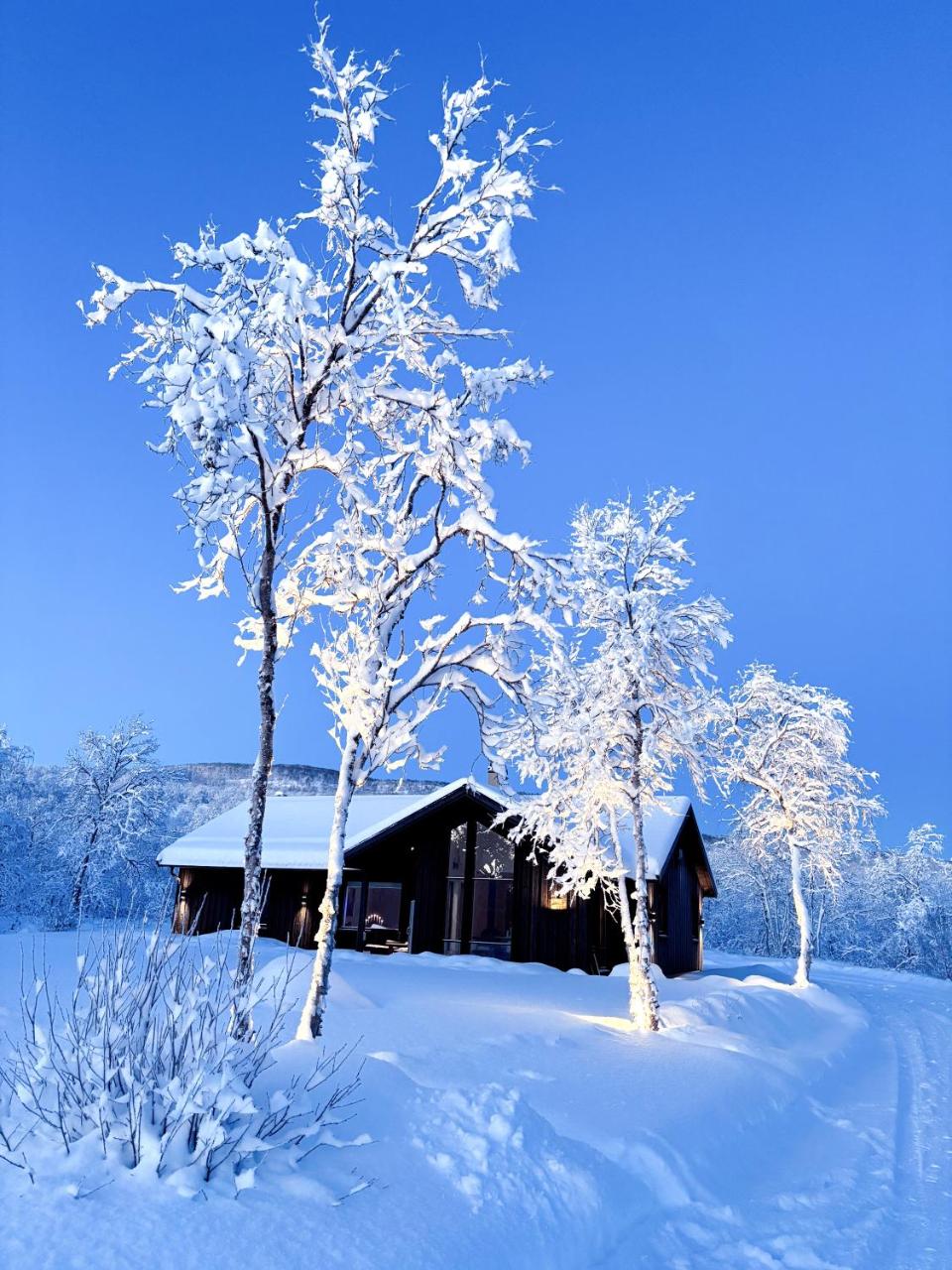 Forest lodge - 3