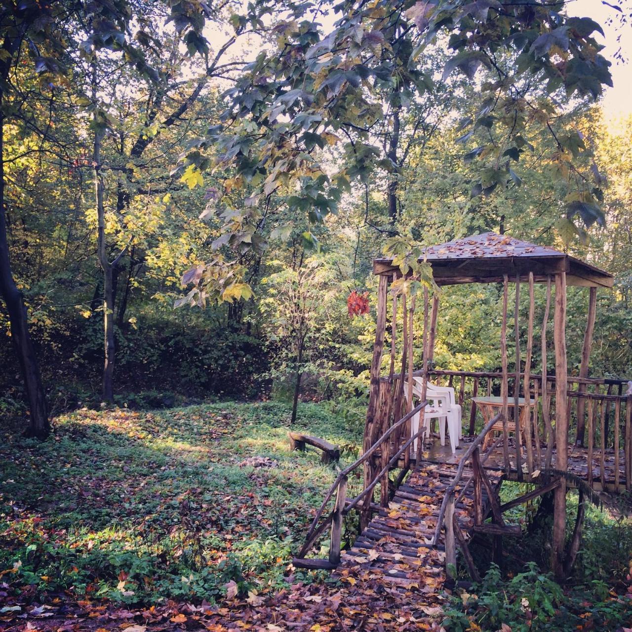 Zamek w Dzięgielowie photo 3