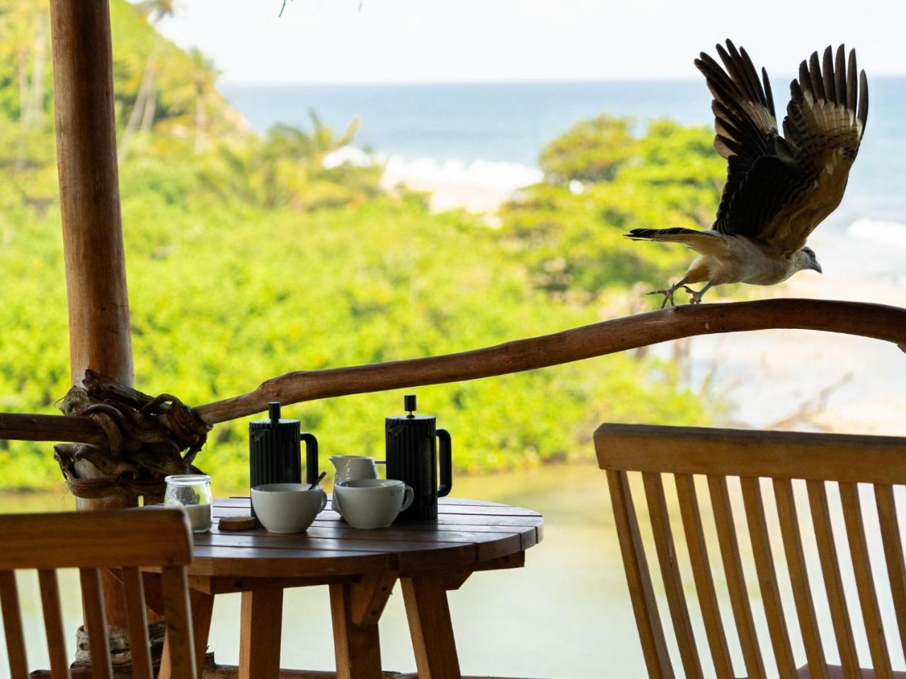 Finca Barlovento Maloka, Tayrona photo 2