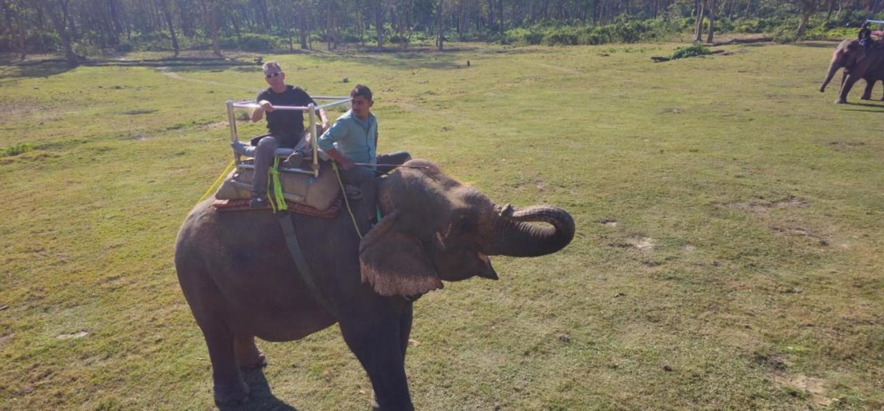 Hotel Tiger's Den - Peace Homestay -"an authentic exciting adventurous park safari arranger" photo 3