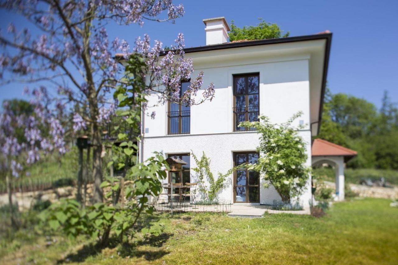 Hirschmugl Domaene Seggau GmbH - 4