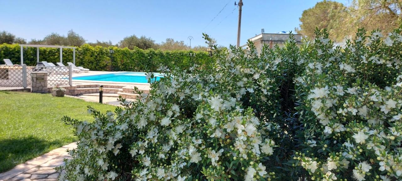 Masseria San Nicola B&B - 2