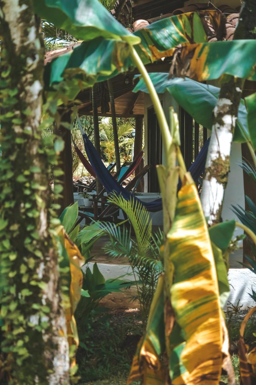 Villa Coco photo 2