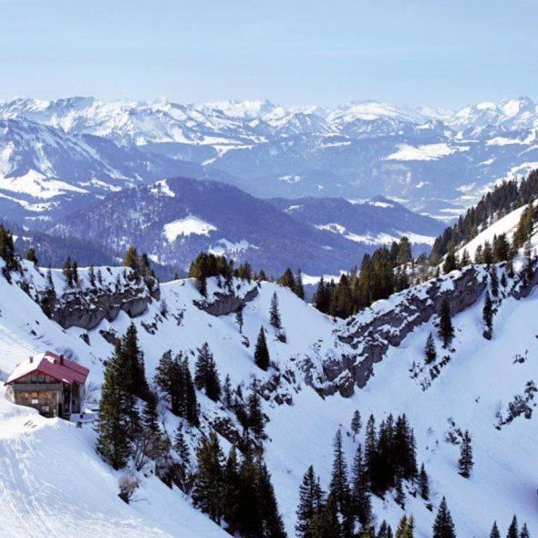 Dorfhaus Chalets photo 2