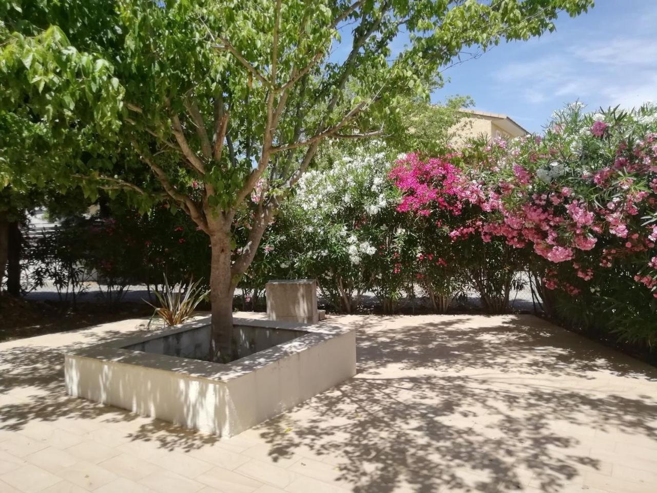 Villa sur Travo , Solenzara - 6