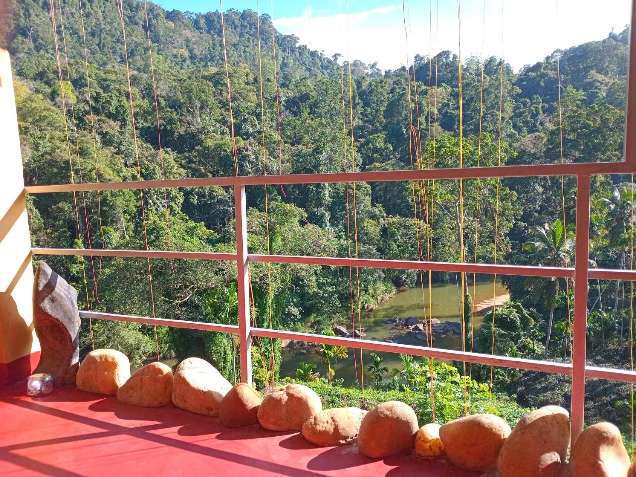 Rainforest View photo 4