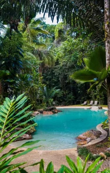 Ferntree Rainforest Lodge photo 2