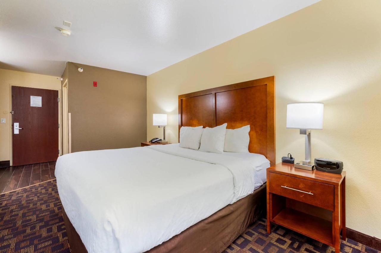 Comfort Inn & Suites North Aurora - Naperville photo 4