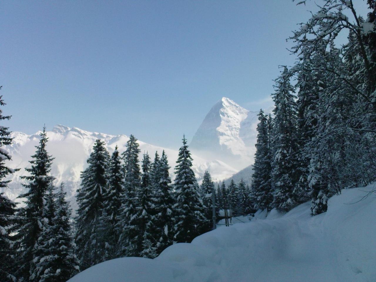 Pension Gimmelwald photo 4