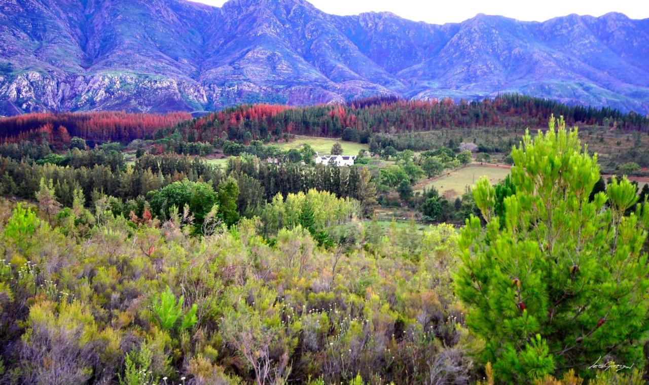 A Hilltop Country Retreat photo 2