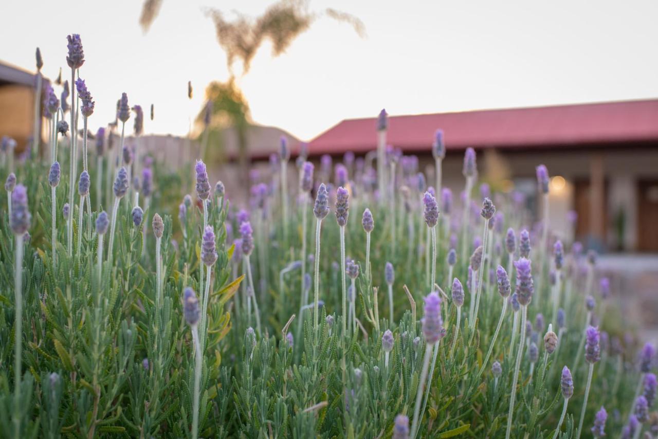 Terra del Valle Bed & Breakfast photo 3