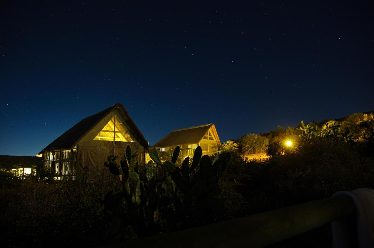 Harmony Luxury Tents & Safari