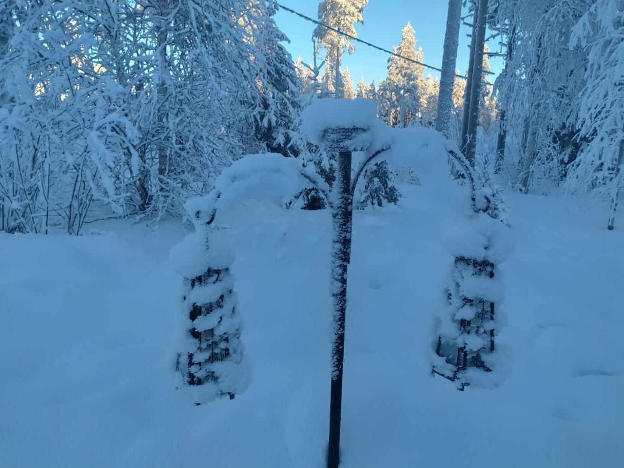 Villa Bear's - 4