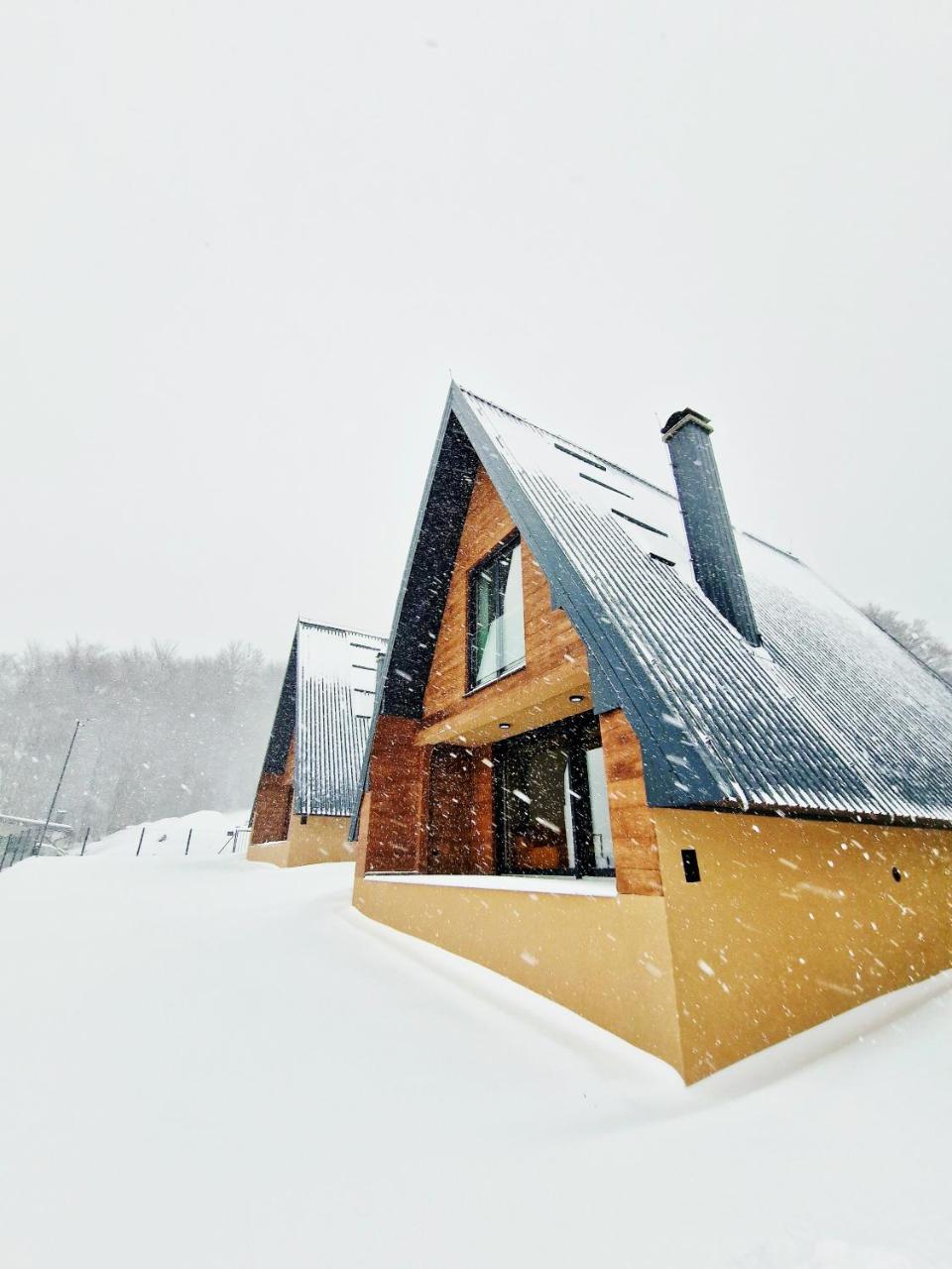 Bjelašnica Lodges - 2
