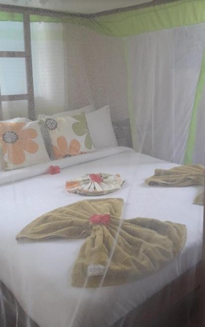 Foto - Green's Hostel Nungwi
