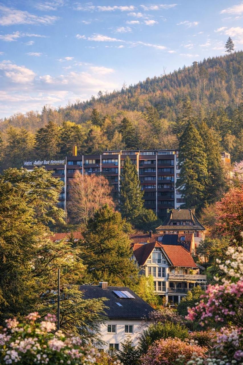 Black Forest Panorama Loft mit Pool - 2