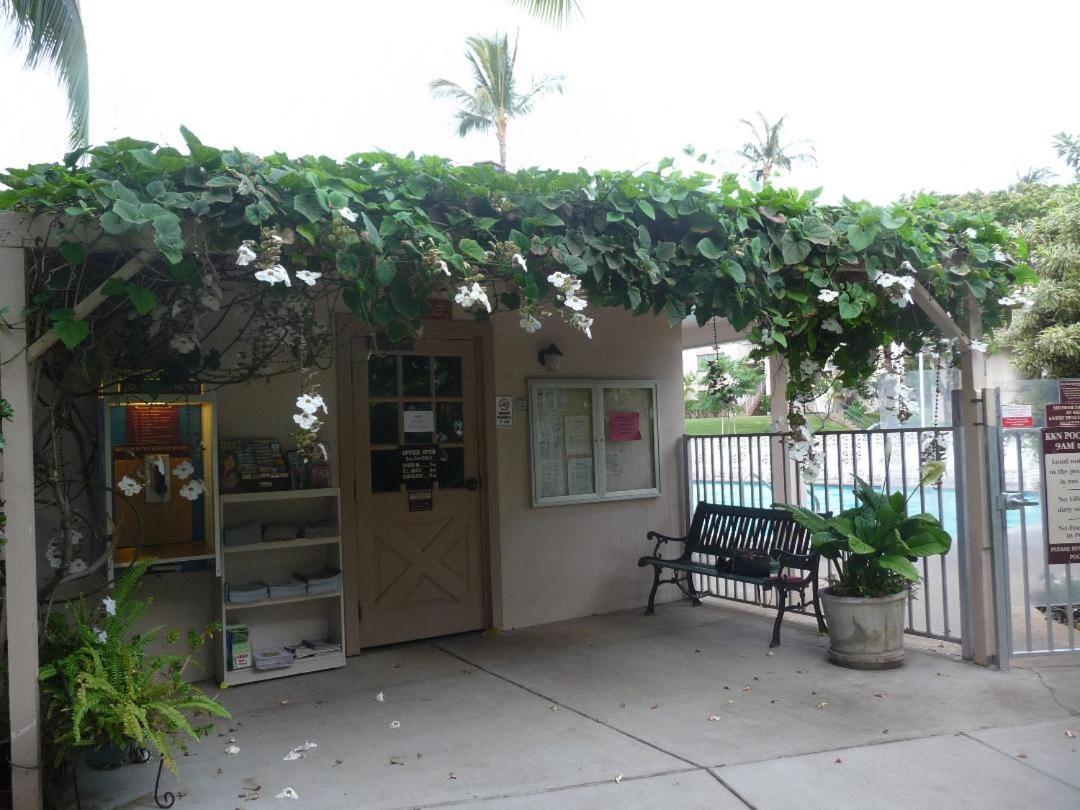 Affordable Vacation Accommodations in Maui at the Kihei Kai Nani Resort - 4