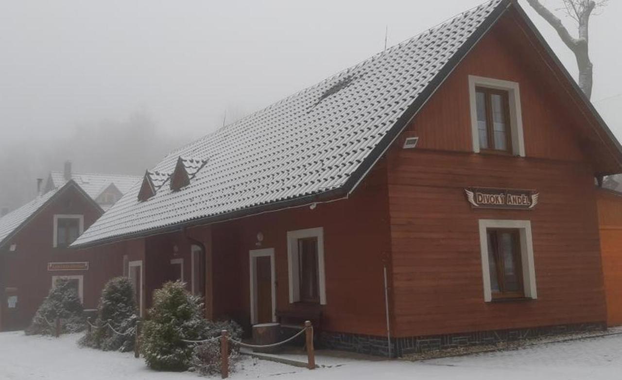 Apartmány Divoký Anděl - 2