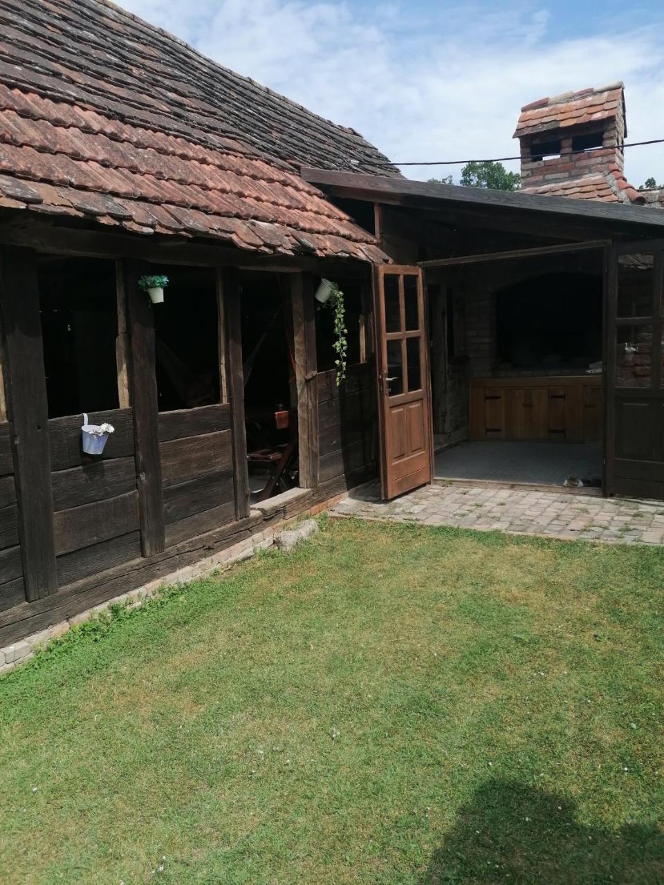 Orljak - 6