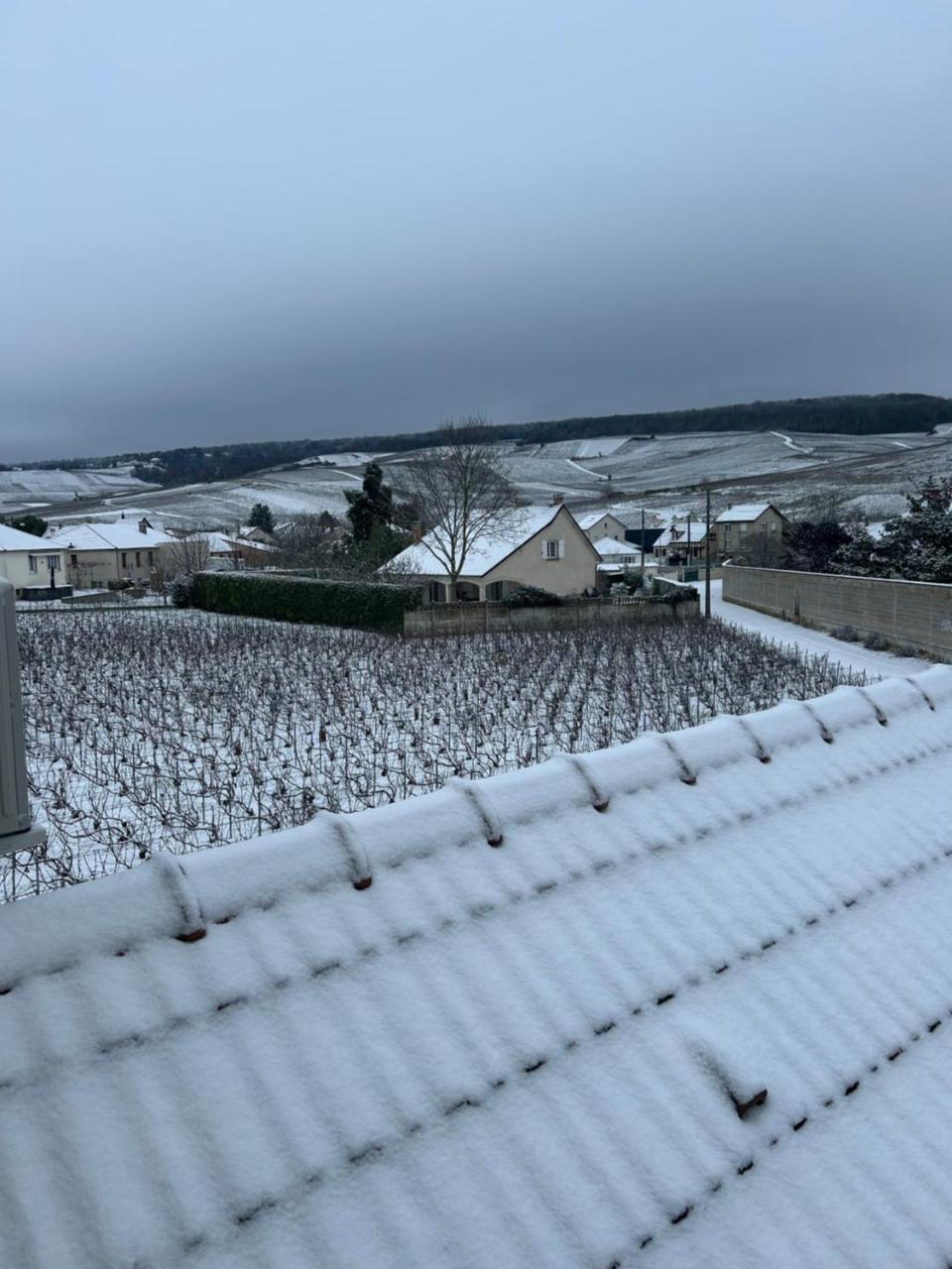 Gîte indépendant Diz'enreves au cœur des vignes - 5