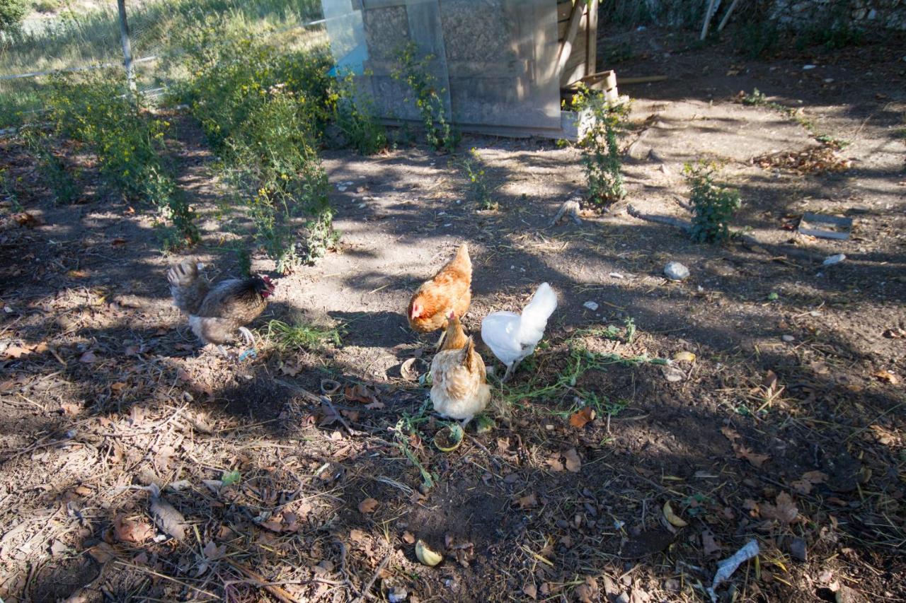 Les Résidences de Métifiot photo 3