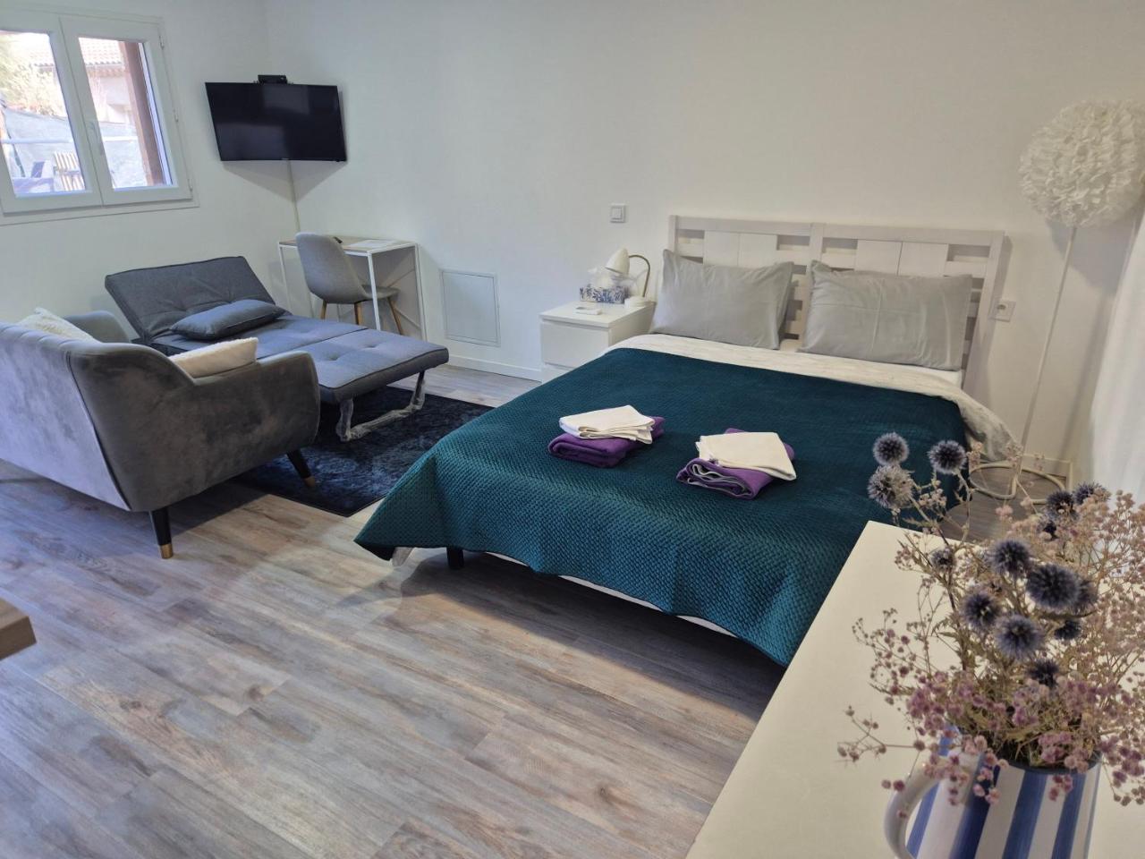 Rhône Studio avec terrace parking privé - 5