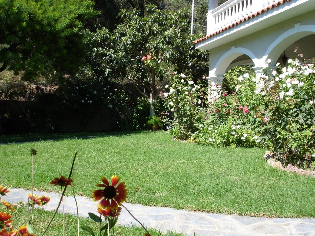 Alexandros Apartments & Studios - 5