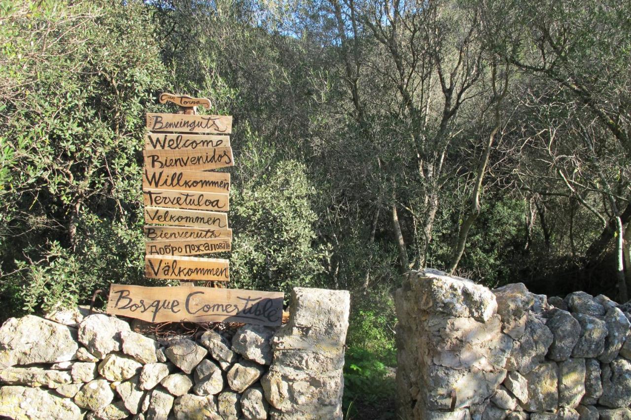 Agroturismo Can Torna AG178 photo 2