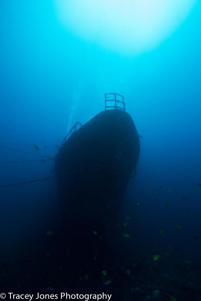 Photo - Puri Wirata Dive Resort and Spa Amed