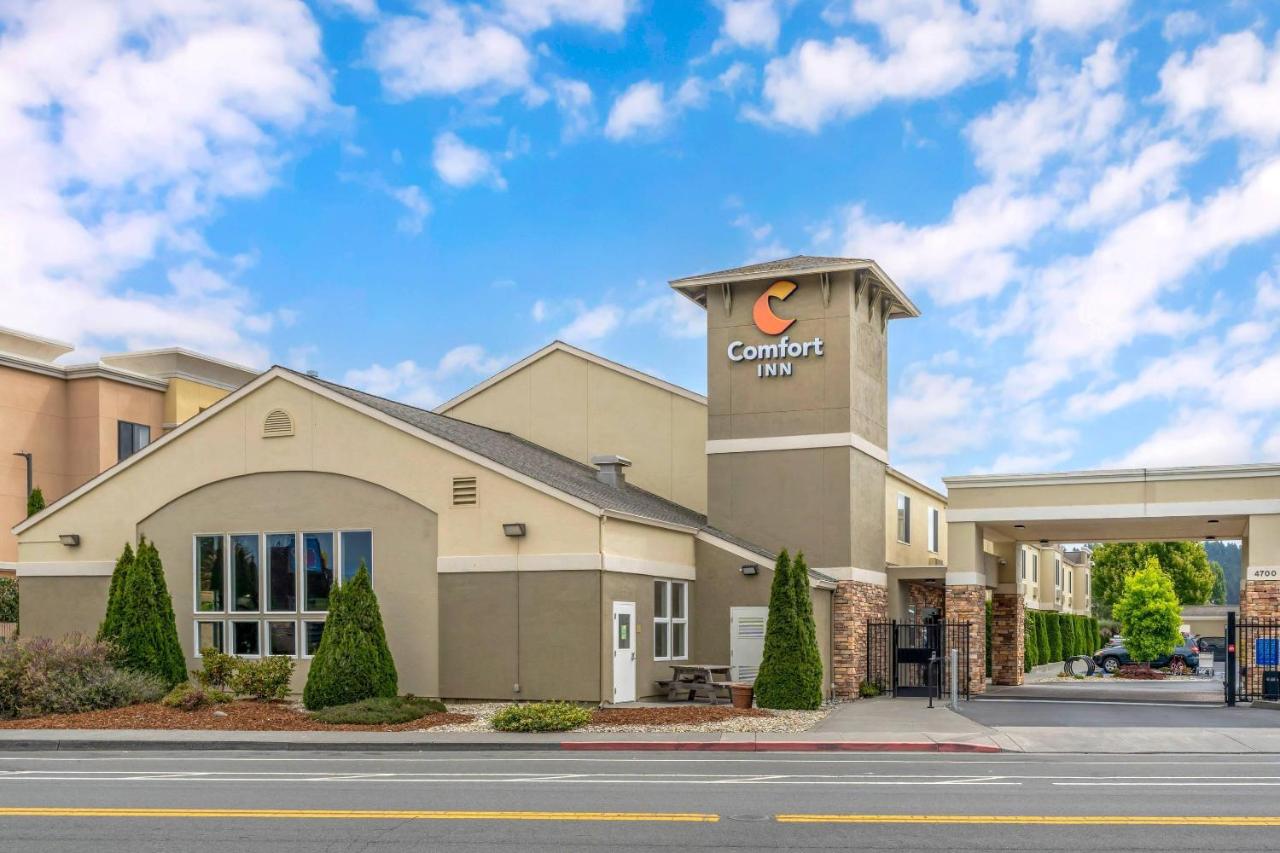 Foto - Comfort Inn Arcata
