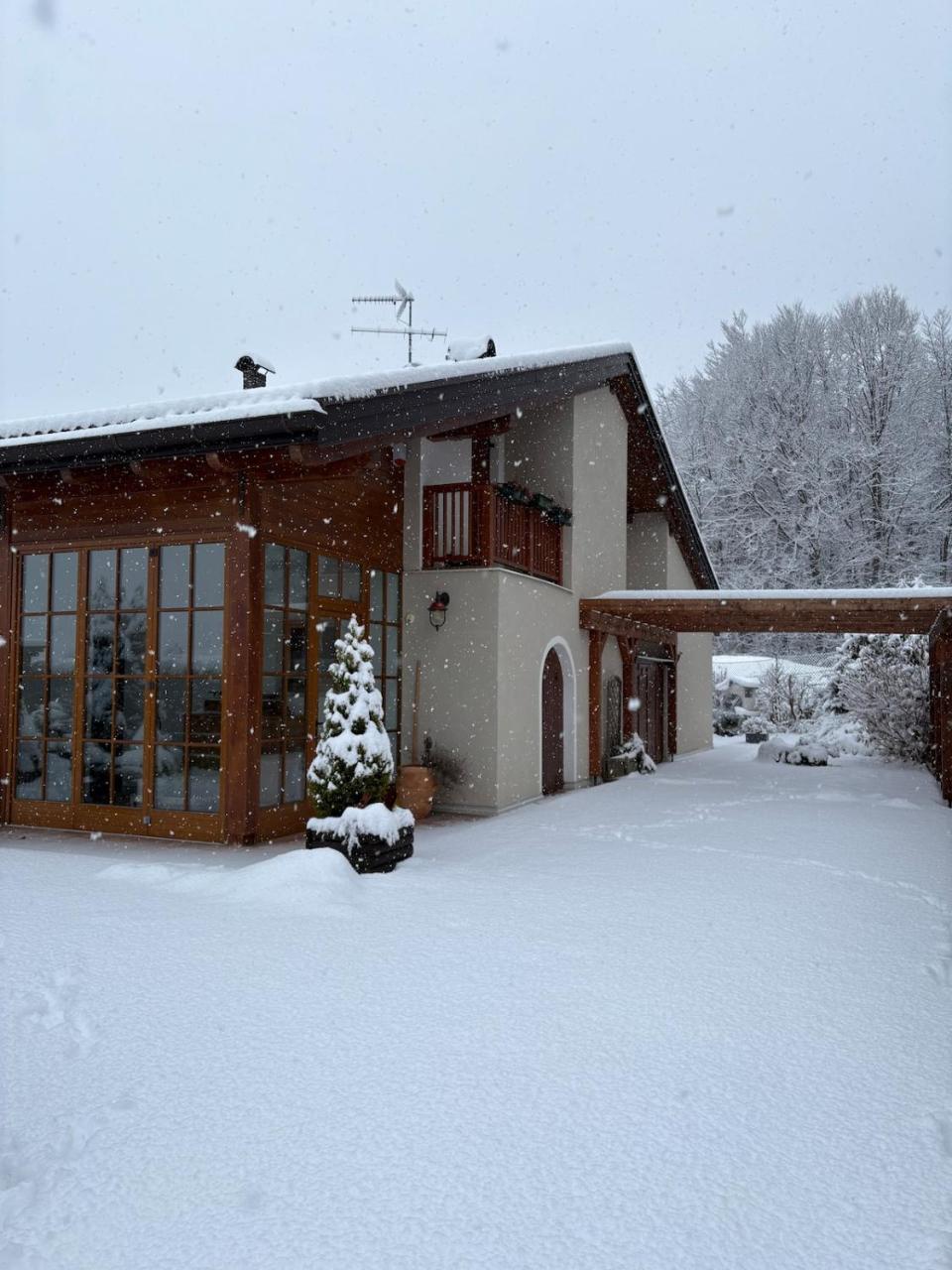 Il bosco accanto - 5