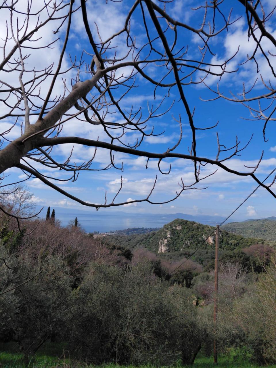 Zelis In Pelion Greece - 6